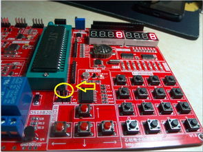 电子产品世界论坛通讯设备专题 连接未来，触手可及